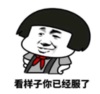 暴漫 文字表情包 看样子你已经服了 搞笑 逗 沙雕