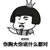 对对对 你胸大你说什么都对 恶搞 逗比