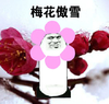 熊猫头 搞笑 雷人 斗图 骄傲 梅花傲雪