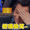 演员的诞生 刘烨 捂嘴偷笑 开心 soogif soogif出品