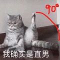 确实 猫 直男