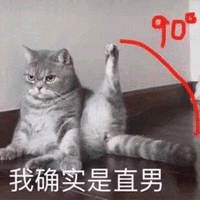 确实 猫 直男 搞怪 逗