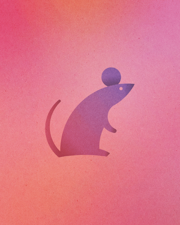 动物 老鼠 图标 绘图 可爱 线条 变化