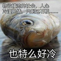 也特么好冷 鱼头 眼睛 搞笑