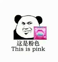 给你点颜色 熊猫 搞笑 这是粉色THIS IS PINK