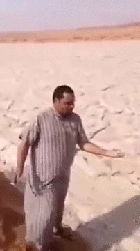 沙子 sand 这是朕的江山 泥石流  风沙