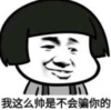 暴漫 文字表情包 我这么帅是不会骗你的 逗 沙雕 魔性