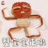 蟹宝宝来啦 蟹蟹 谢谢