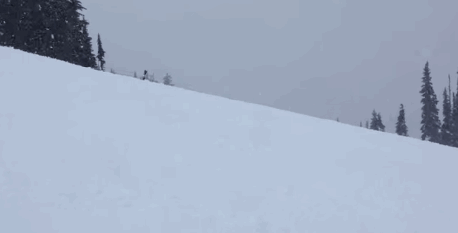 雪山 风雪 滑雪 摔倒