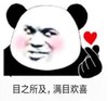 熊猫头 文字表情包 目之所及 满目欢喜 搞笑 沙雕 魔性