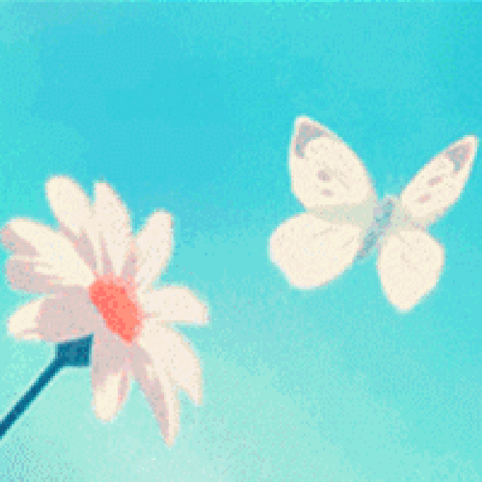 蓝天 花朵 手 蝴蝶
