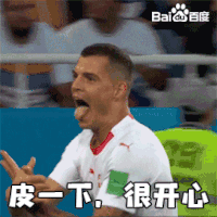 世界杯 2018世界杯 FIFA 足球 瑞士 扎卡 皮一下很开心