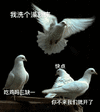 沙雕图 沙雕 沙雕表情包 今日沙雕