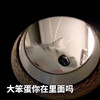 萌宠 猫星人 大笨蛋你在里面吗 好奇 呆萌 可爱