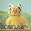 存钱 鹦鹉兄弟