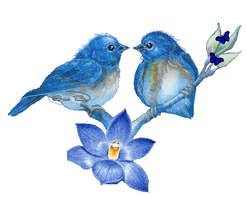 小鸟 蓝色 花蕊 设计 艺术