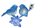 小鸟 蓝色 花蕊 设计 艺术
