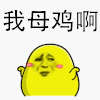萌宠 可爱 母鸡 搞笑