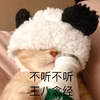 萌宠 猫星人 不听不听 王八念经 呆萌 可爱