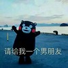找个男女朋友 请给我一个男朋友 熊本熊