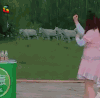 soogif soogif出品 挑战者联盟谢依霖