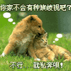 惊呆了  动态 搞怪 不行就私奔