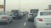 老虎 活久见 公路 高速 哎呀卧槽
