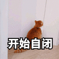 自闭 猫 自闭