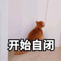 自闭 猫 自闭 可爱 呆萌