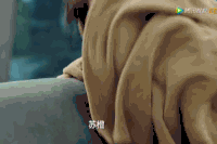 逆袭之星途闪耀 宋轶 电视剧