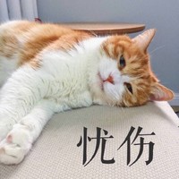 猫咪 喵星人 悲伤 忧伤