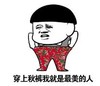 暴漫 文字表情包 穿上秋裤我就是最美的人 搞笑 逗 沙雕