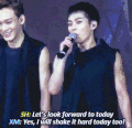 金珉锡 金钟大 EXO EXO-M EXO-CBX组合 狼与美女 上瘾
