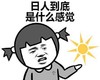 金馆长 萌妹子 太阳 到底什么感觉