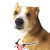 狗 萌宠 翻花绳 搞笑