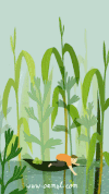 插画 湖面 植物 男孩