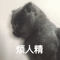 萌宠 喵星人 烦人精 你烦死了 憨憨 呆萌