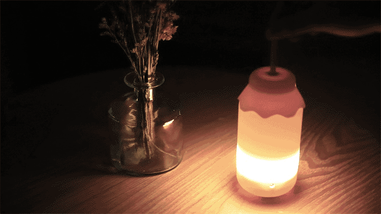 灯光 玻璃瓶 夜晚 干花