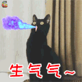 萌宠 猫咪 猫 生气 soogif soogif出品