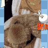 坚持 狗狗 休息 可爱
