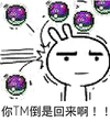 恶搞兔 尴尬 难过 你TM倒是回来啊