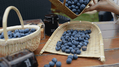 蓝莓 水果 营养 抗癌
