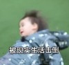 萌娃 本特利 被现实生活击倒 可爱 沙雕 魔性