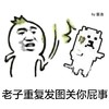 罗罗布 斗图 群聊 老子发图关你屁事