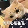 萌宠 猫星人 不开心要抱抱 想哭 难受 伤心