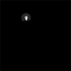 随机 gif