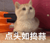 很嗨  搞怪  逗乐 点头