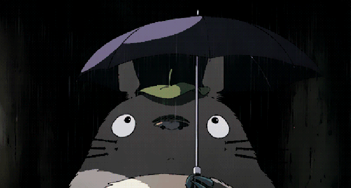宫崎骏 龙猫 夜晚 下雨