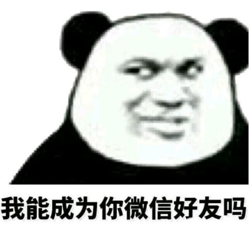 金馆长 熊猫人 斜视 能成微信好友