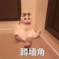 萌宠 猫咪 猫 蹲墙角 伤心